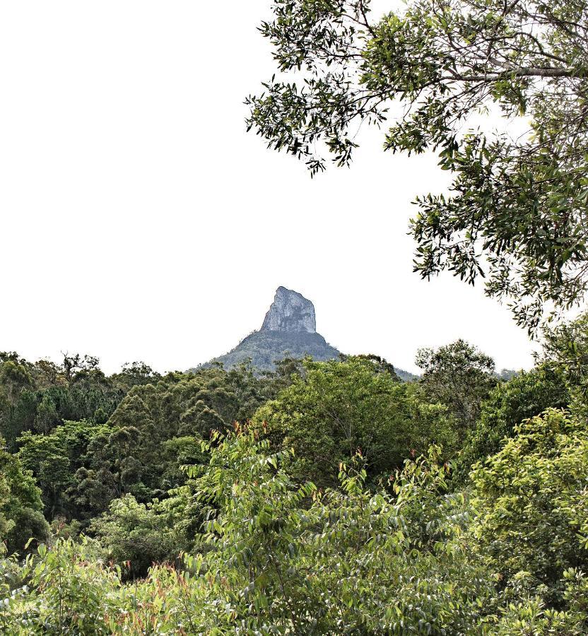 Glass On Glasshouse Glass House Mountains Exteriér fotografie